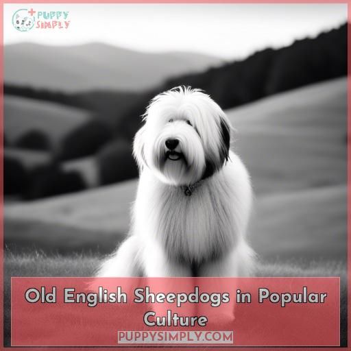 Old English Sheepdogs in Popular Culture Old English Sheepdogs in Popular Culture