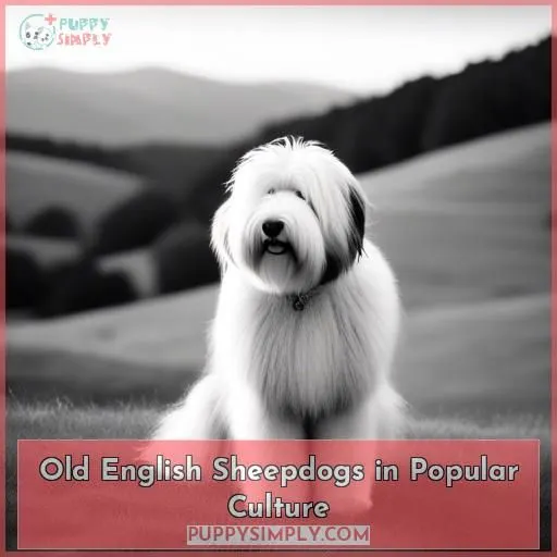 Old English Sheepdogs in Popular Culture