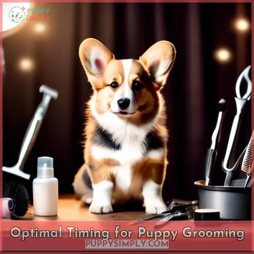 Optimal Timing for Puppy Grooming