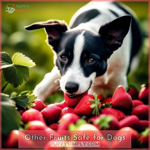 Other Fruits Safe for Dogs