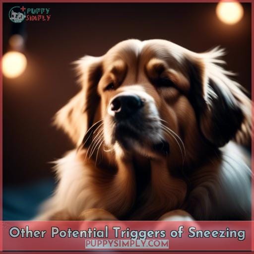 Other Potential Triggers of Sneezing