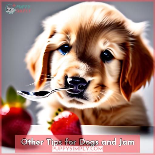Other Tips for Dogs and Jam