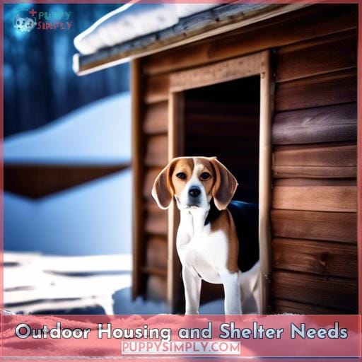 Outdoor Housing and Shelter Needs