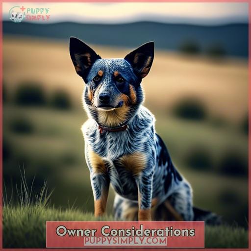 Owner Considerations