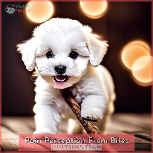Pain Perception From Bites Pain Perception From Bites