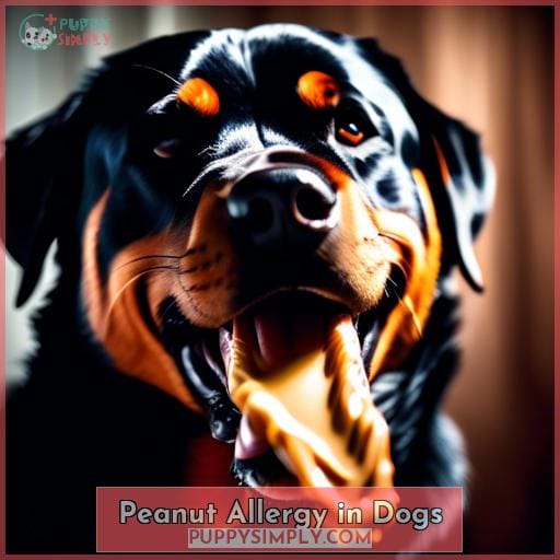 Peanut Allergy in Dogs