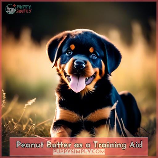 Peanut Butter as a Training Aid