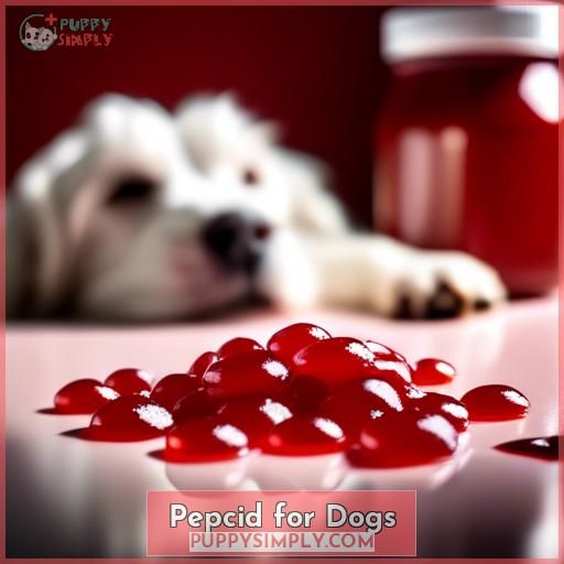 Pepcid for Dogs