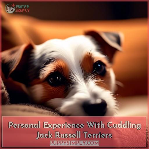 Personal Experience With Cuddling Jack Russell Terriers
