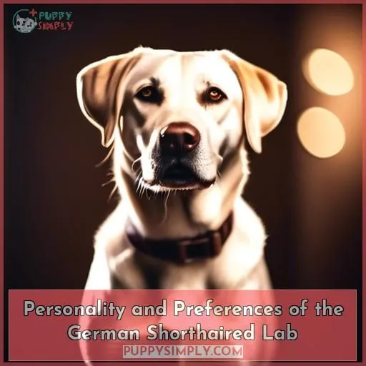 Personality and Preferences of the German Shorthaired Lab