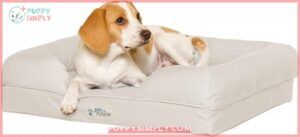PetFusion Ultimate Dog Bed, Orthopedic B07VG57YHZ