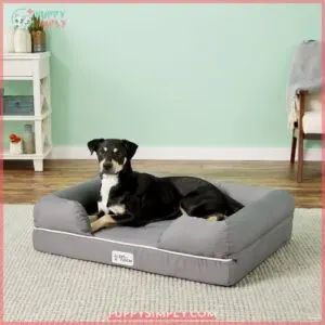 PetFusion Ultimate Lounge Memory Foam