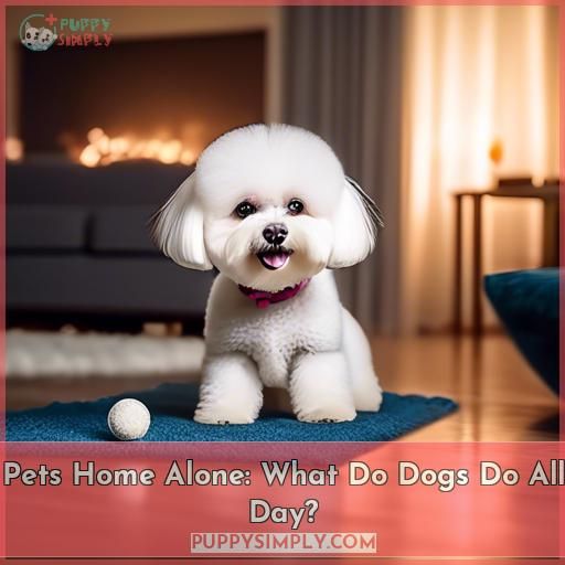 Pets Home Alone: What Do Dogs Do All Day