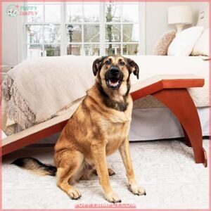 PetSafe CozyUp Dog Ramp for B00JKEW9DI