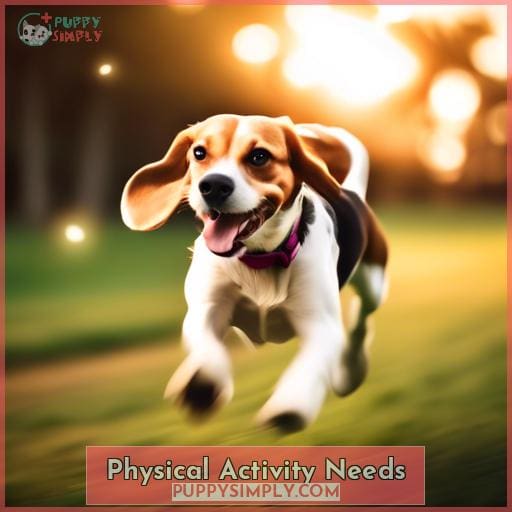 Physical Activity Needs