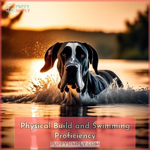 Physical Build and Swimming Proficiency