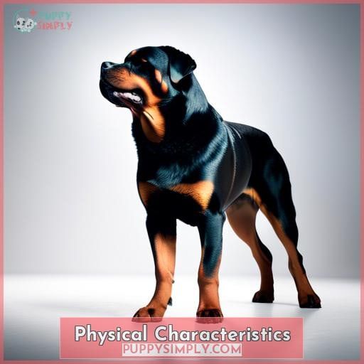 Physical Characteristics