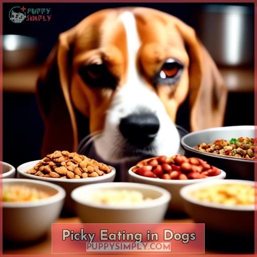 Picky Eating in Dogs