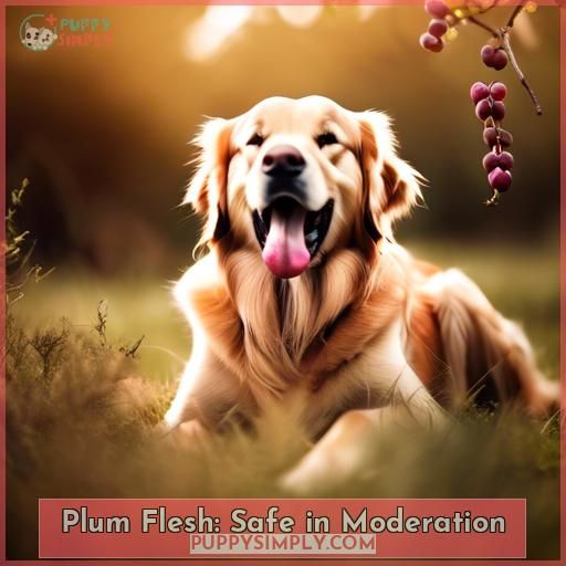 Plum Flesh: Safe in Moderation