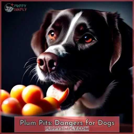 Plum Pits: Dangers for Dogs