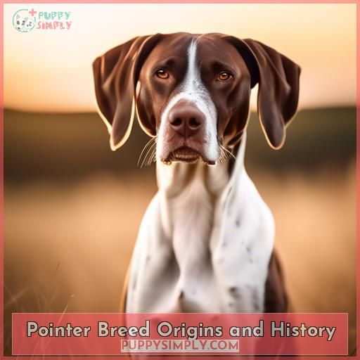 Pointer Breed Origins and History
