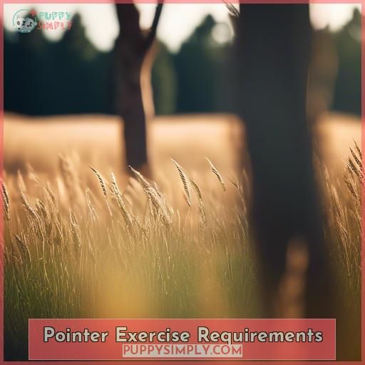 Pointer Exercise Requirements