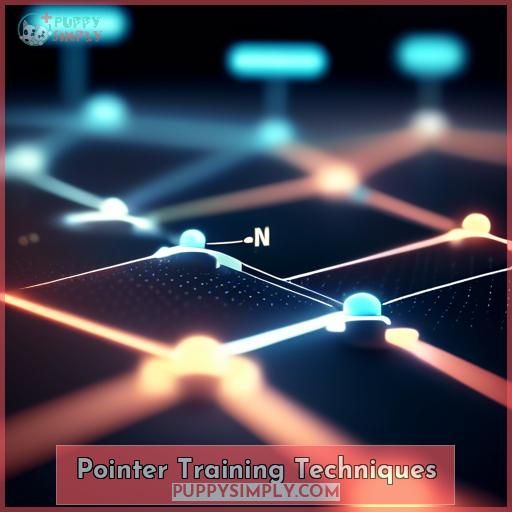 Pointer Training Techniques