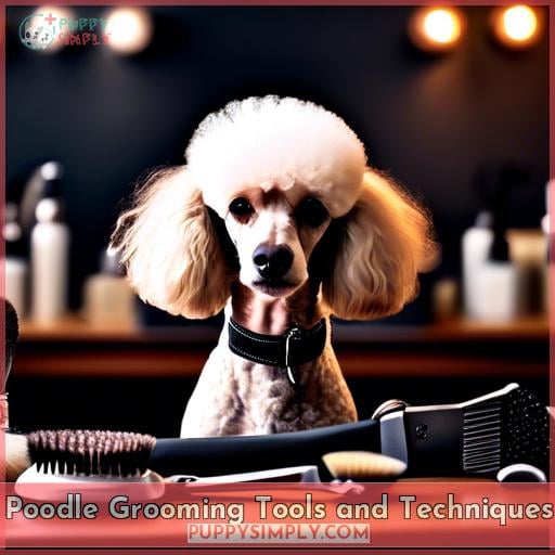 Poodle Grooming Tools and Techniques