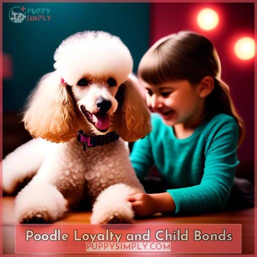Poodle Loyalty and Child Bonds