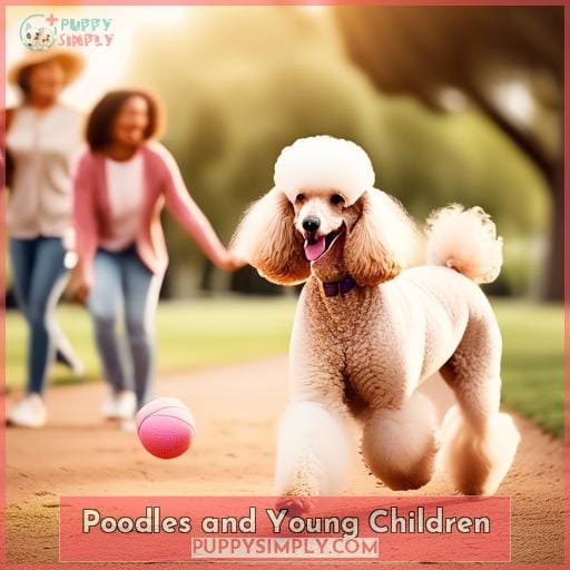 Poodles and Young Children