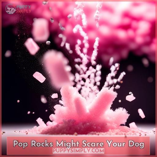 Pop Rocks Might Scare Your Dog