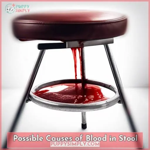 Possible Causes of Blood in Stool