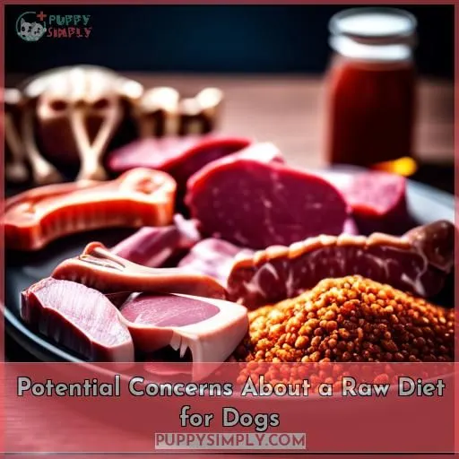 Potential Concerns About a Raw Diet for Dogs