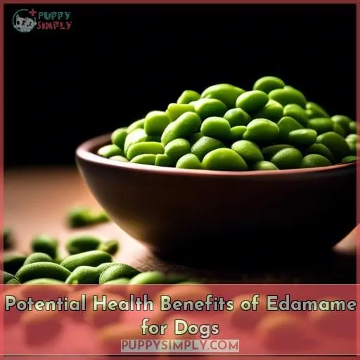Potential Health Benefits of Edamame for Dogs