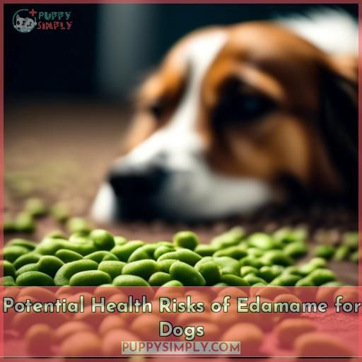 Potential Health Risks of Edamame for Dogs