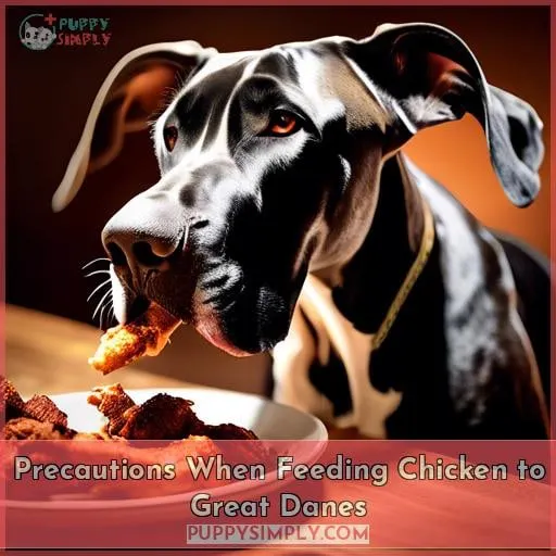 Precautions When Feeding Chicken to Great Danes