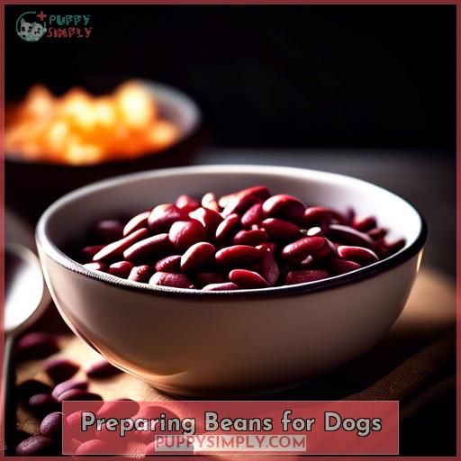 Preparing Beans for Dogs