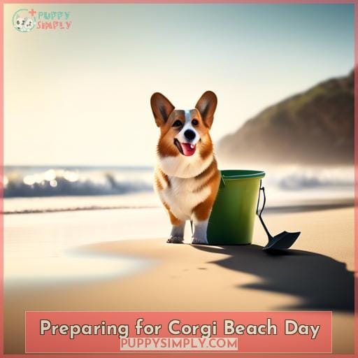 Preparing for Corgi Beach Day Preparing for Corgi Beach Day