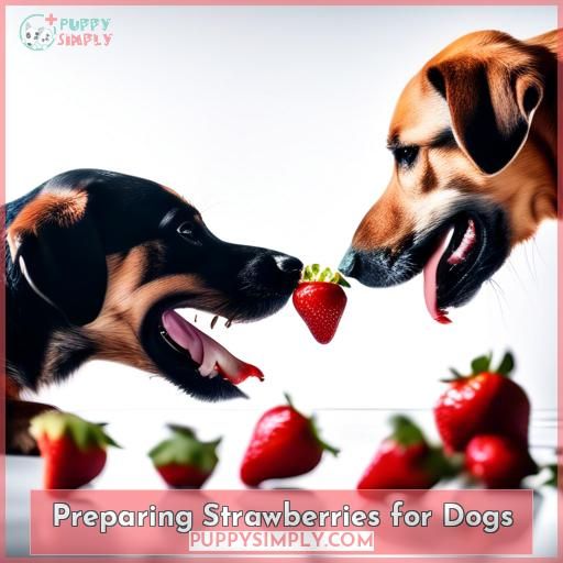 Preparing Strawberries for Dogs