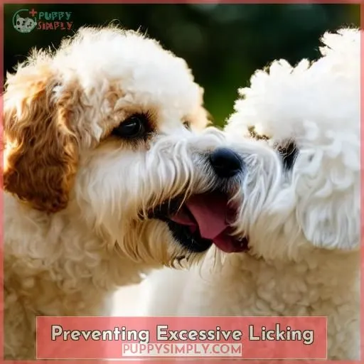 Preventing Excessive Licking