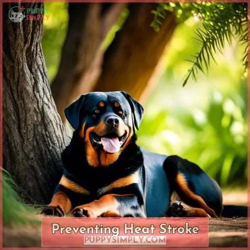 Preventing Heat Stroke