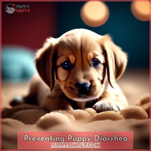 Preventing Puppy Diarrhea