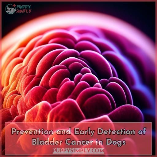 Prevention and Early Detection of Bladder Cancer in Dogs