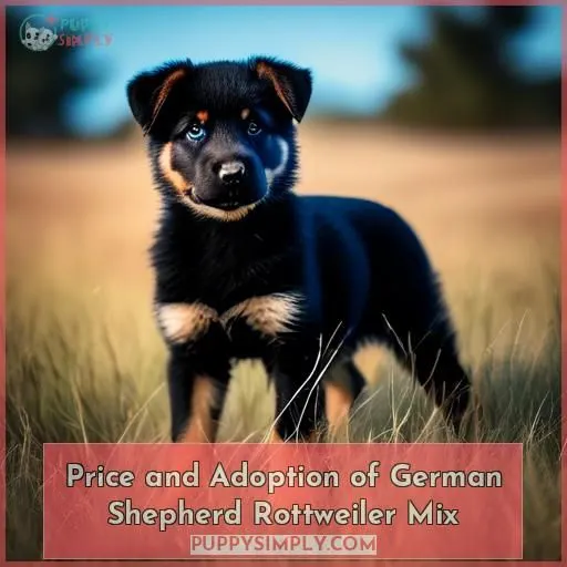 Price and Adoption of German Shepherd Rottweiler Mix