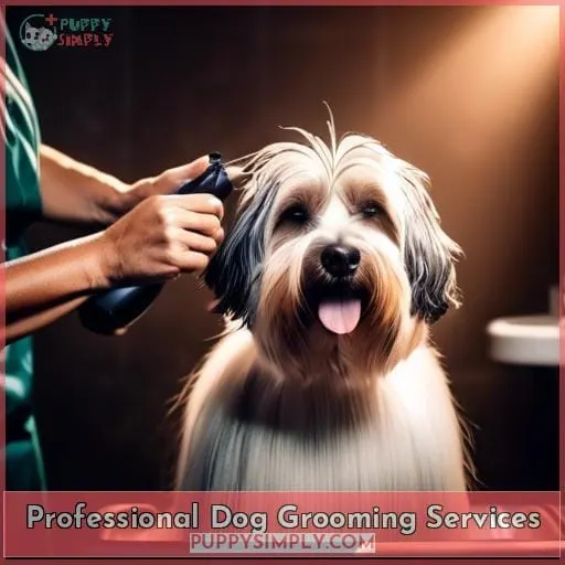 Professional Dog Grooming Services