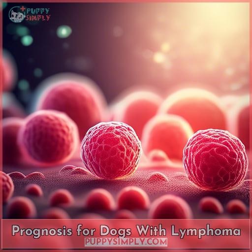 Prognosis for Dogs With Lymphoma