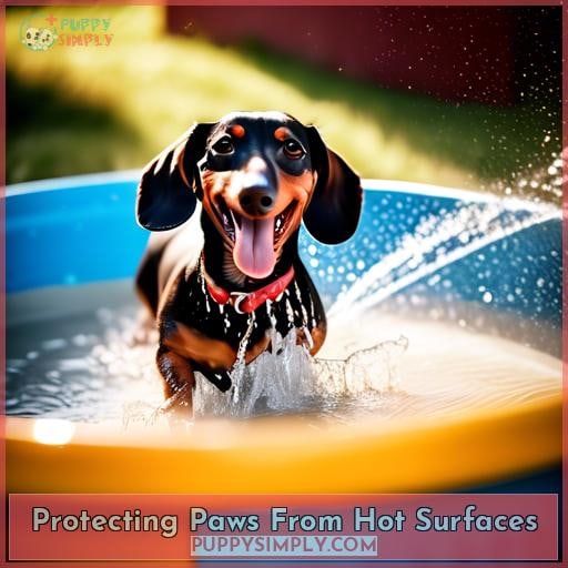 Protecting Paws From Hot Surfaces