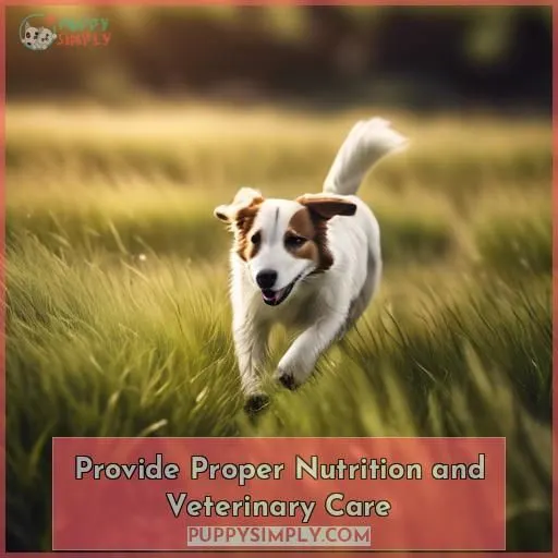 Provide Proper Nutrition and Veterinary Care