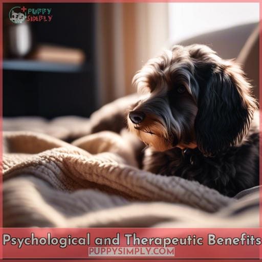Psychological and Therapeutic Benefits