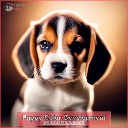 Puppy Color Development
